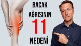 maxresdefault-2.jpg
